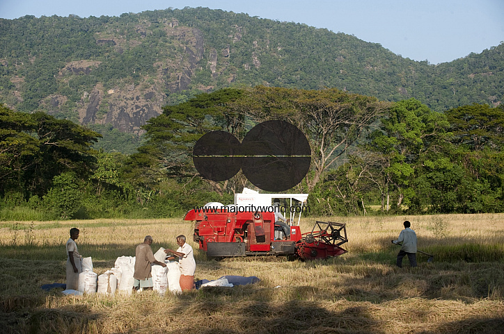 Sri Lanka. Combine harvester at work on a rice field near Buttala.
