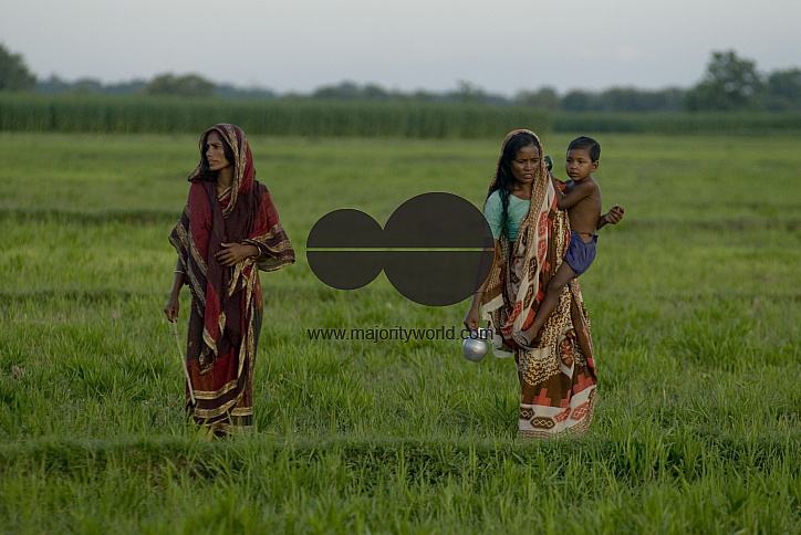 Graze goat: Bangladesh