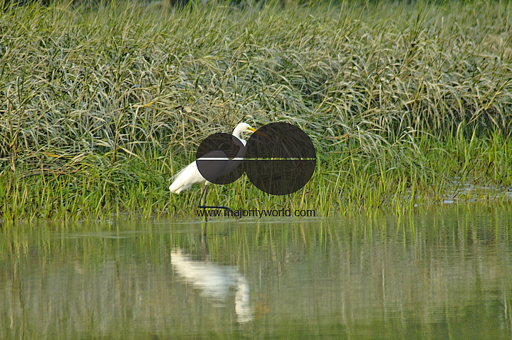 Sundarbans, Khulna, Bangladesh