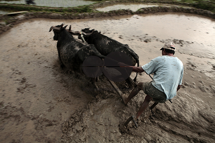 People of Nepal