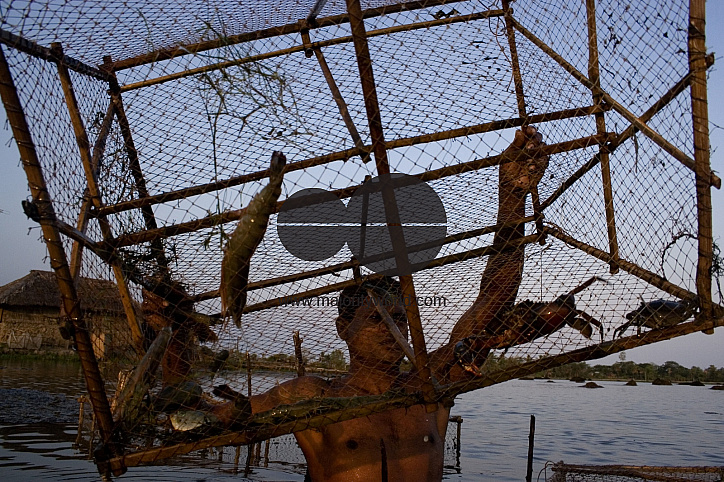 Palanquin_Bangladesh