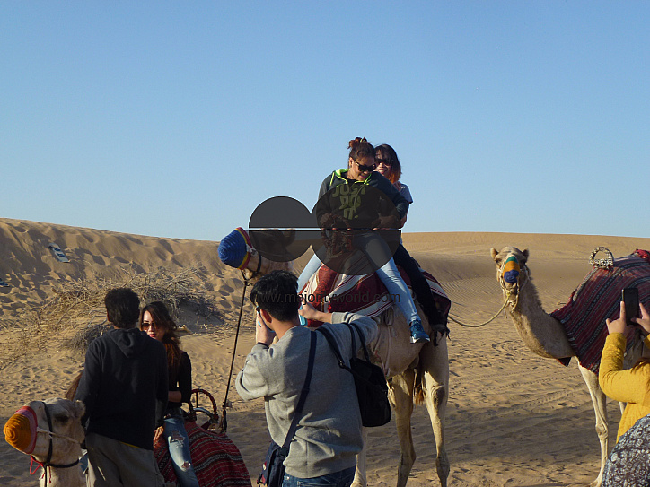 Holiday in Dubai