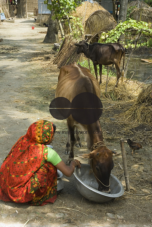Village_Bangladesh