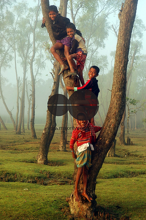 Nobanno Utshab-1413