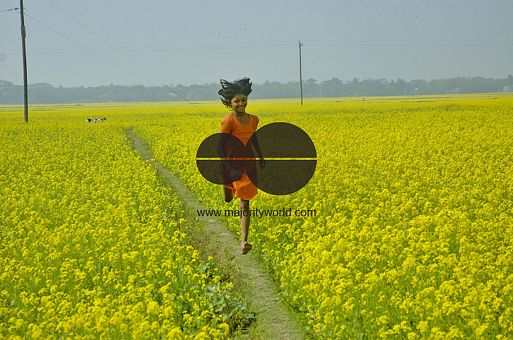Mustard Field, Singair
