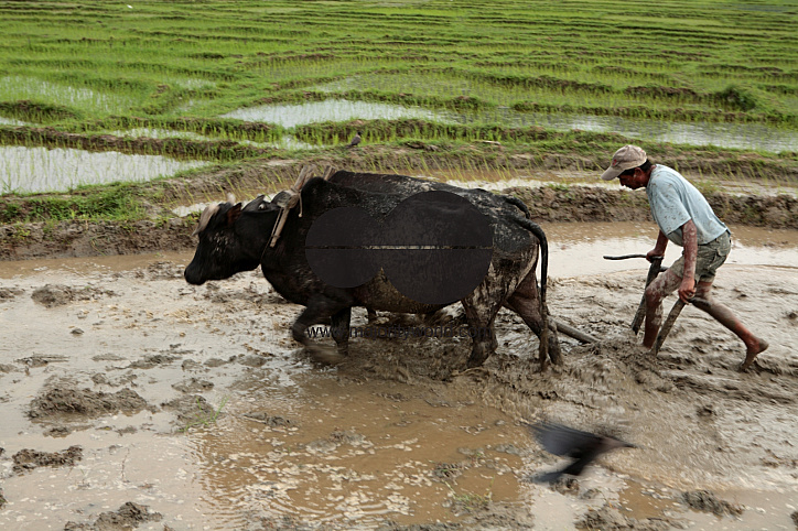 People of Nepal