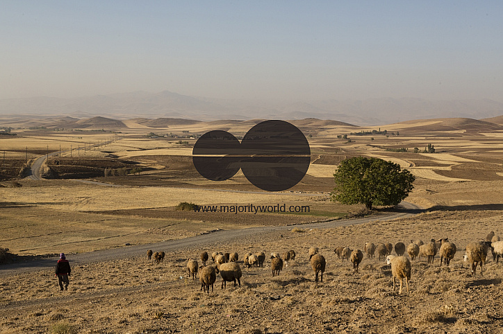 Iran, The horrors of Drug - Wall of Smoke