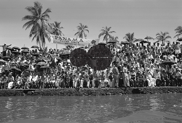 Snake boat racing