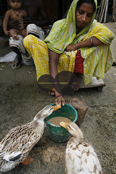 Sirajgonj flood situation still unchange