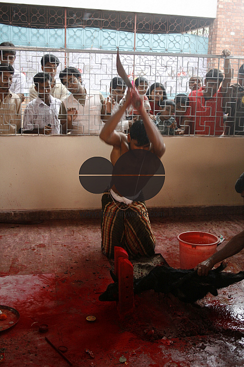 Hindu devotees celebrate Durga Puja