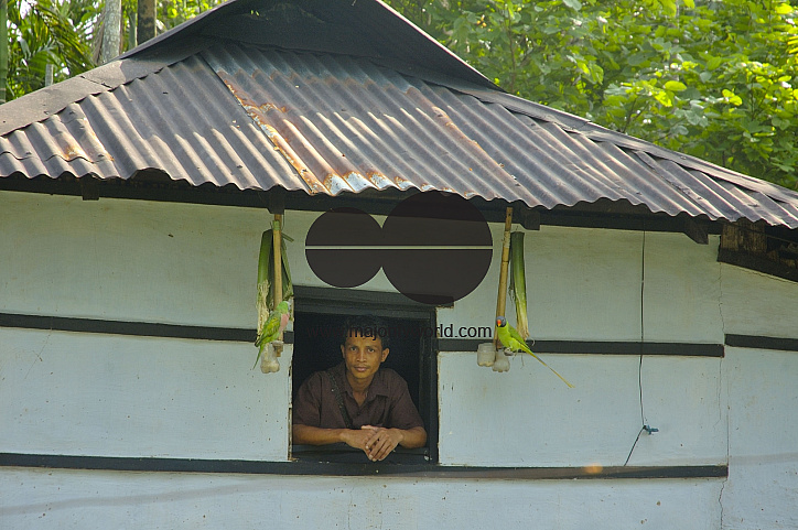Sangram Pungi