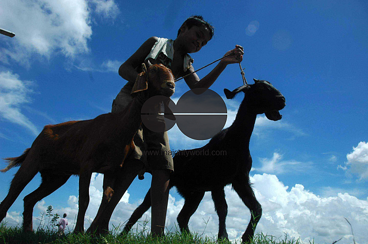 BANGLADESH-BOY-NATURE