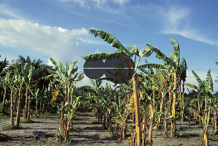 DRIK PICTURE LIBRARY LTD.