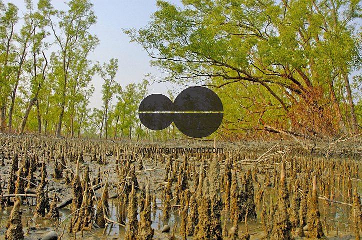 Sundarbans, Khulna, Bangladesh