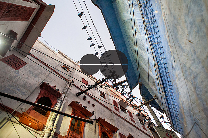  A typical bylane in Jodhpur, lined with traditional buildings and pigeons on wires.