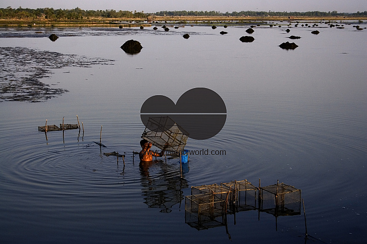 Palanquin_Bangladesh