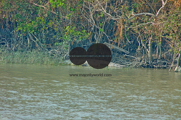 Sundarbans, Khulna, Bangladesh