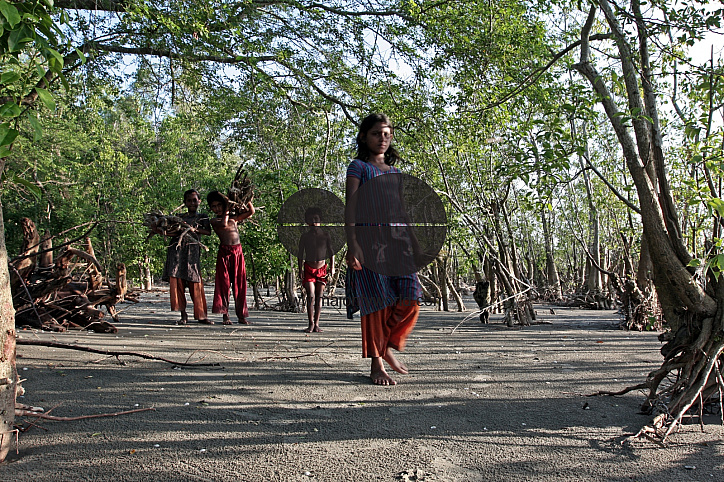 Bangladeshi Birds