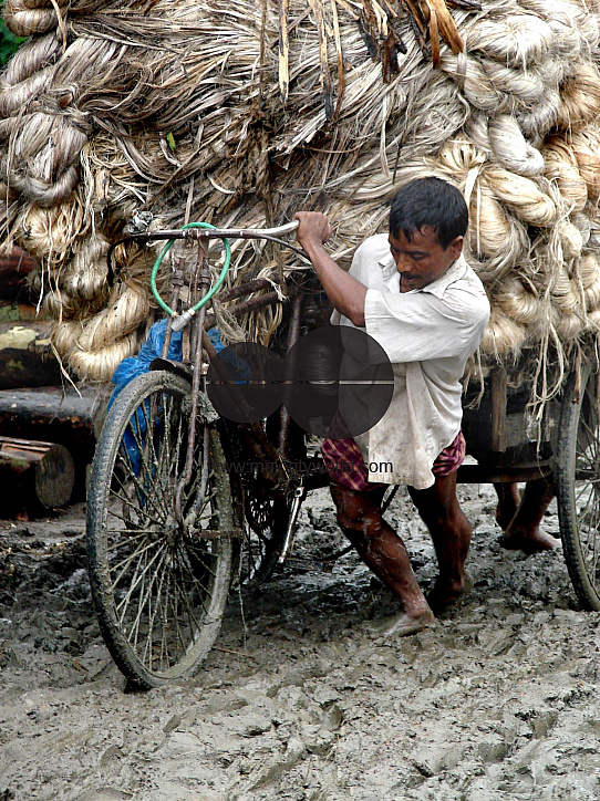 Carrying dry jute