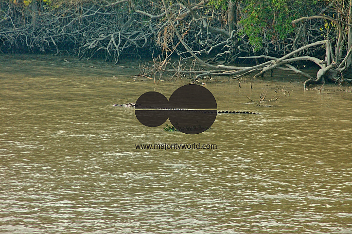 Sundarbans, Khulna, Bangladesh