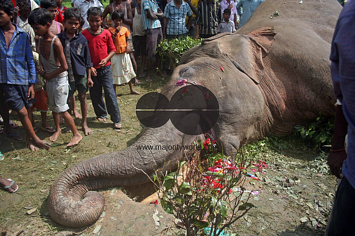 Preparation of emersion and the emersion of goddess Durga in Assam