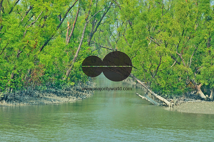Sundarbans, Khulna, Bangladesh