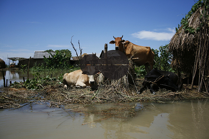 Flood approaches Munshigonj