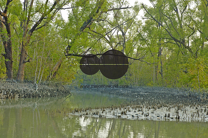 Sundarbans, Khulna, Bangladesh