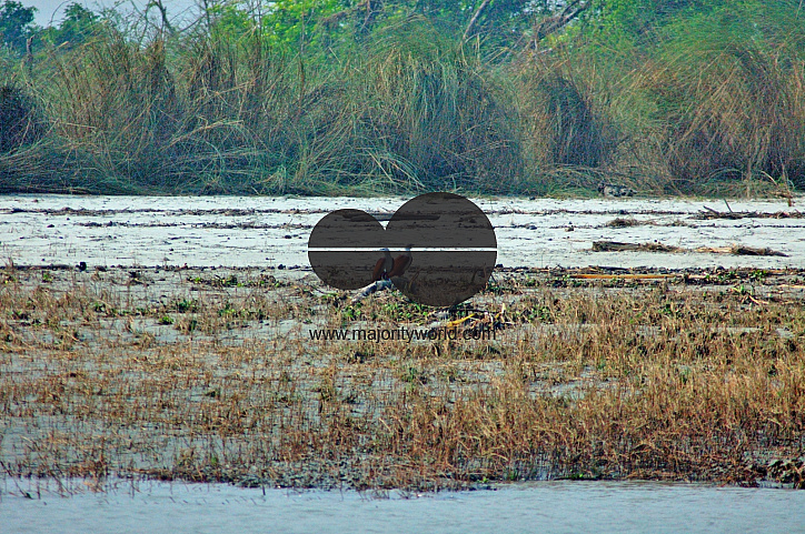 Sundarbans, Khulna, Bangladesh