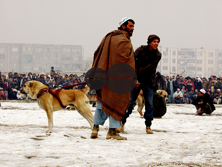 New Afghanistan