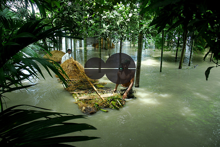 Huge damage at Sirajgonj because of flood