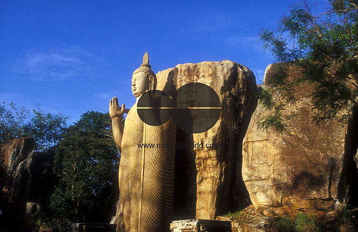 Sri Lanka. Aukana Buddha Statue.