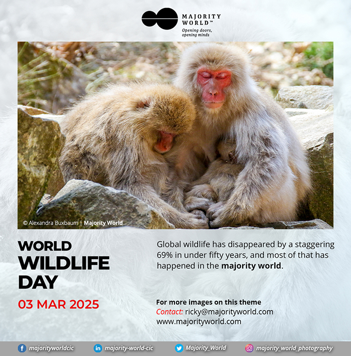 World wildlife day