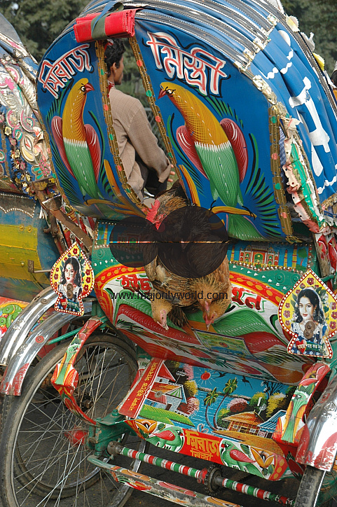 Chickens on a rickshaw ride