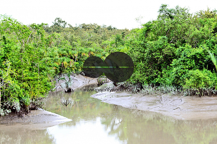 Sundarbans, Khulna