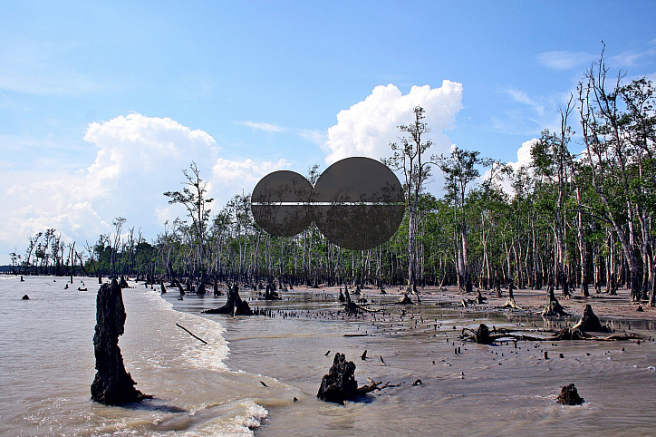 Sundarbans, Khulna
