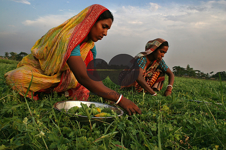 Palanquin_Bangladesh