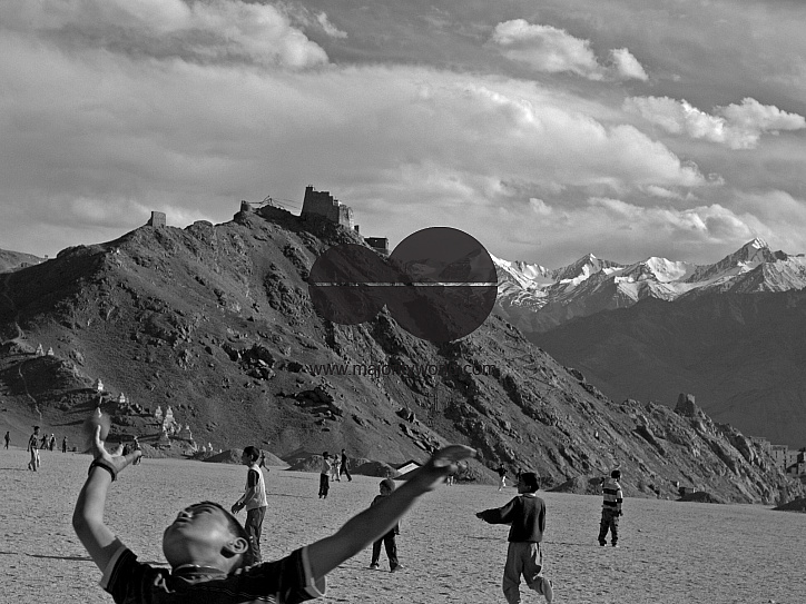 Cricket in Ladakh