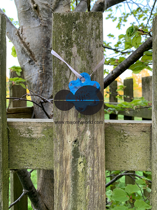 Capture the Coronavirus (COVID-19)