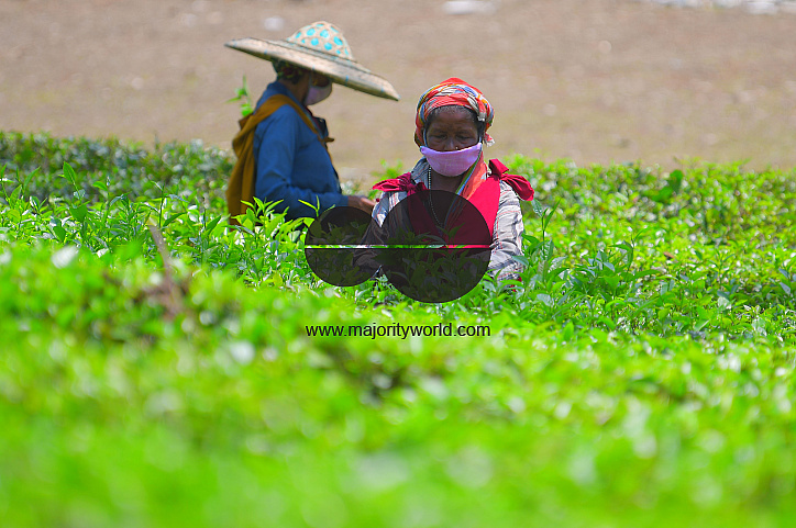 Tea garden workers during lockdown