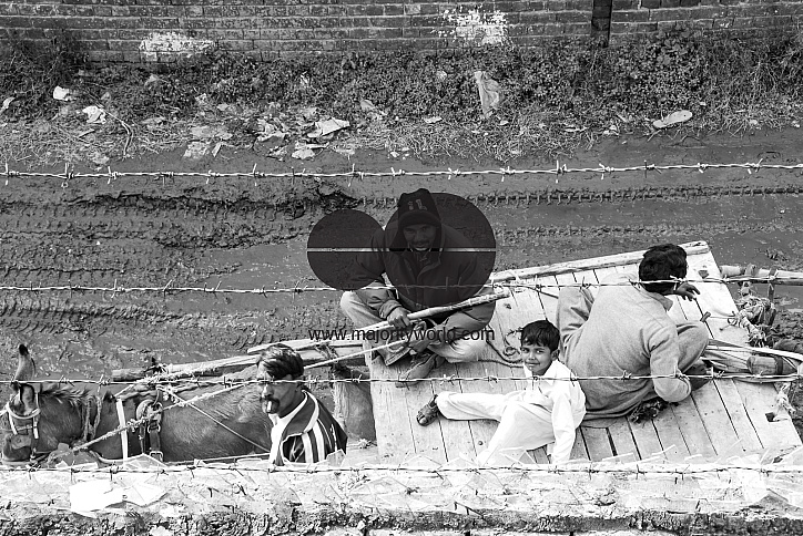  People sit on a cart pulled by a donkey, Lahore.