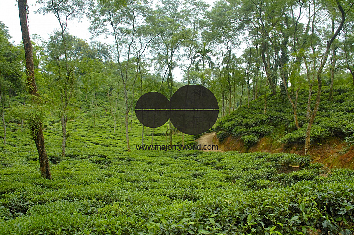 Malnichara Tea Garden