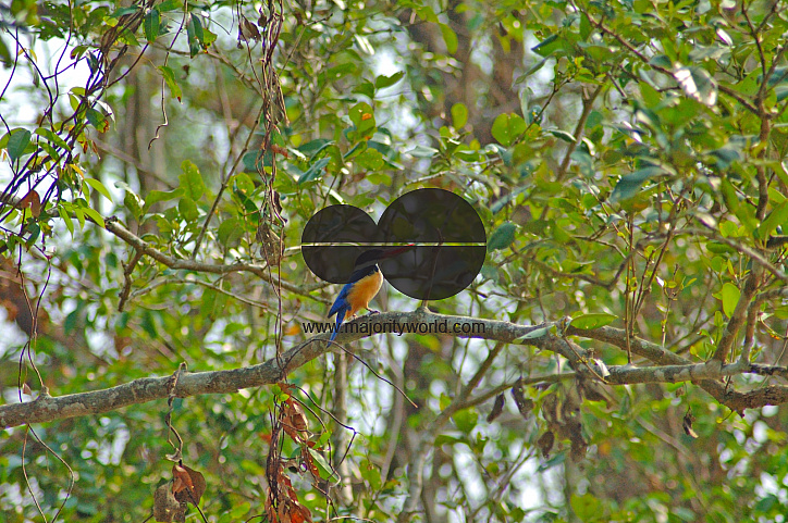 Sundarbans, Khulna, Bangladesh