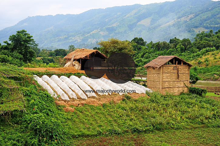 Lifestyle of Indigenous Tribal Peoples