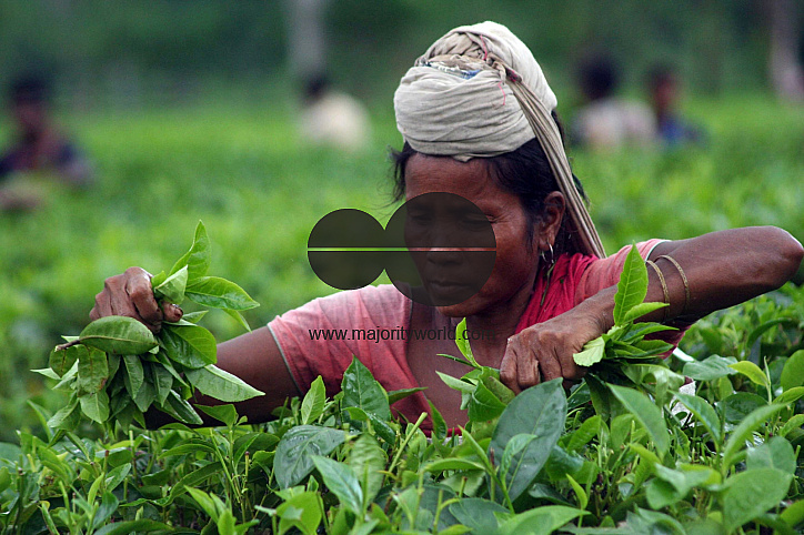 Preparation of emersion and the emersion of goddess Durga in Assam