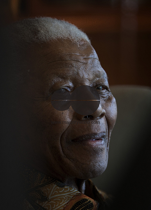 Nelson Mandela Portraits