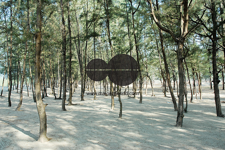 Tamarisk tree forest