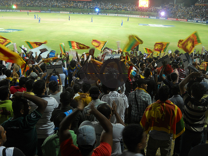 Cricket Fans