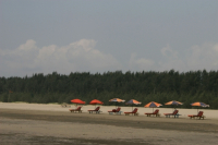 Cox's bazar Sea Beach