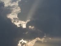 Sundarbans_Bangladesh